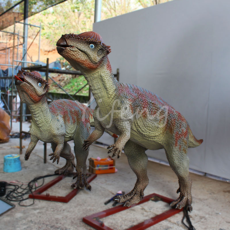 Small herbivorous dinosaur Animatronic Sphaerotholus Pachycephalosaur