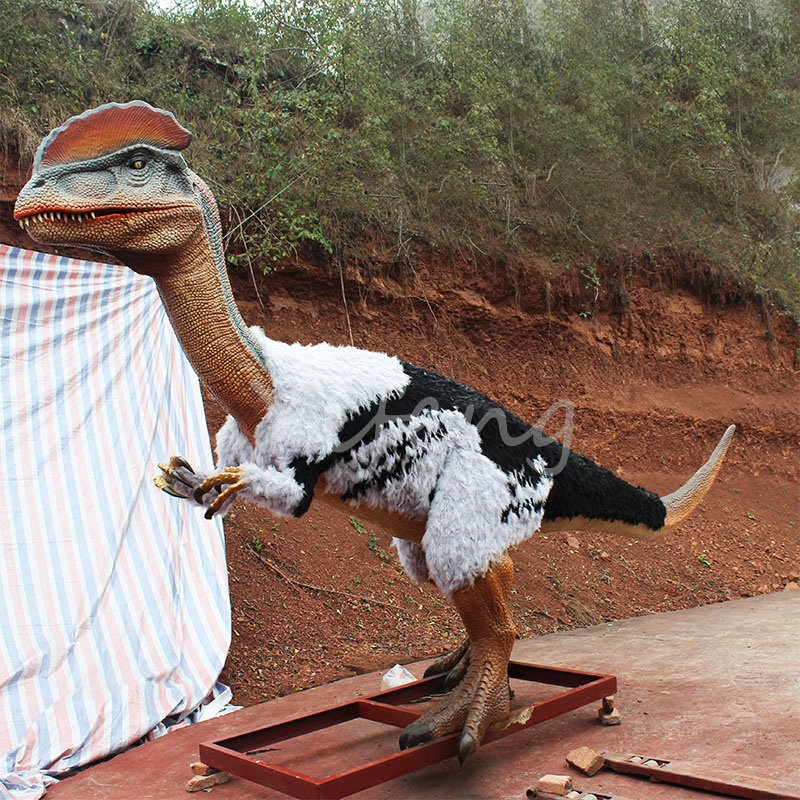 Animatronic Dilophosaurus For Jurassic  Adventure Park